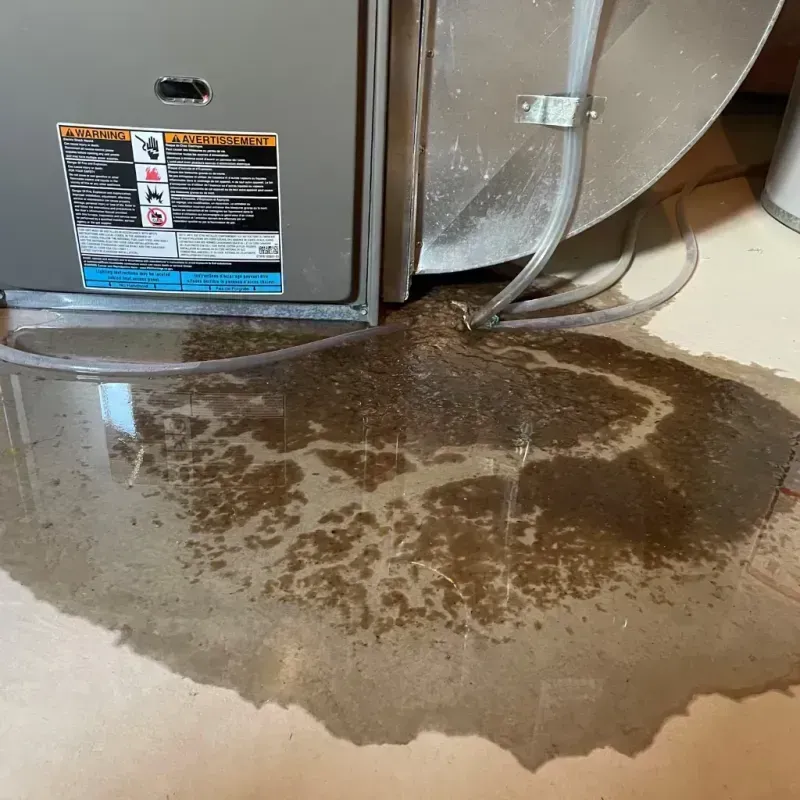 Appliance Leak Cleanup in Darmstadt, IN